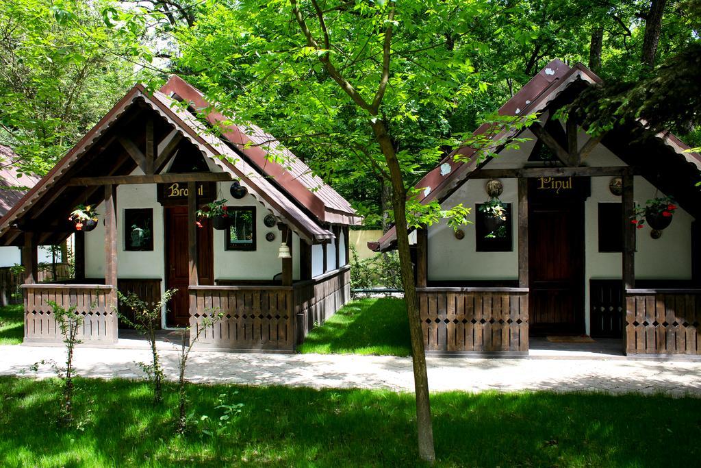 Cornul Vanatorului Bungalows Piteşti Exterior foto