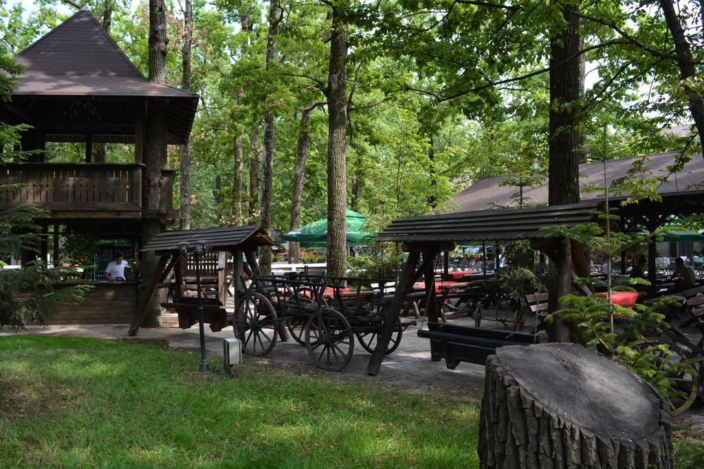 Cornul Vanatorului Bungalows Piteşti Exterior foto