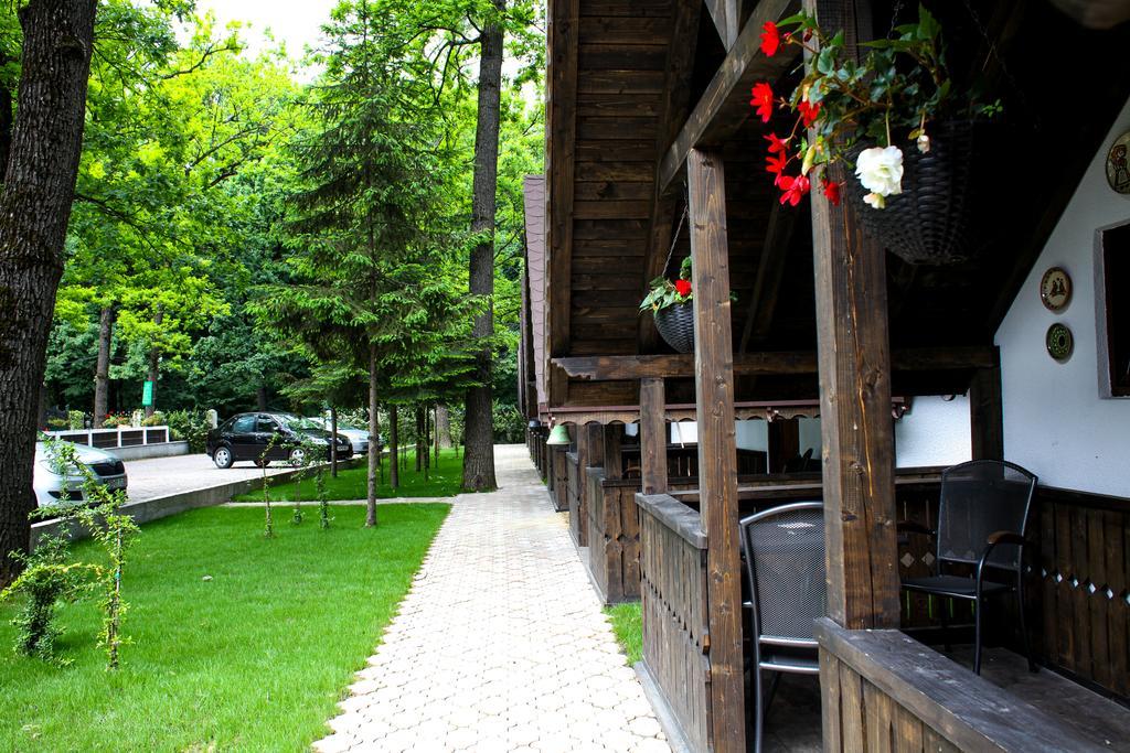 Cornul Vanatorului Bungalows Piteşti Exterior foto