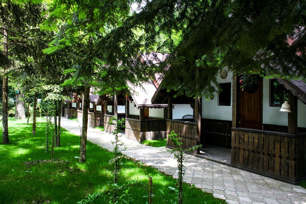 Cornul Vanatorului Bungalows Piteşti Exterior foto