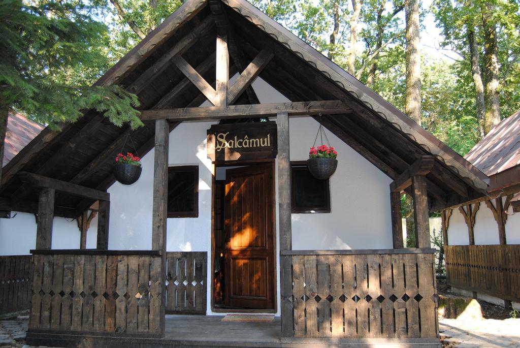 Cornul Vanatorului Bungalows Piteşti Zimmer foto